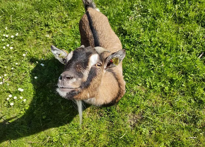 Biohof Bernhard Farma