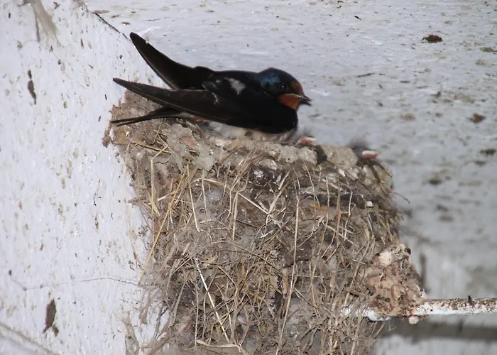 Farma Biohof Bernhard