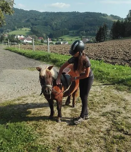 Biohof Bernhard Farma