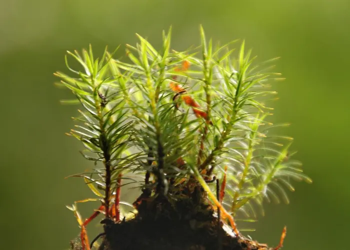 Biohof Bernhard Farma Unterweissenbach