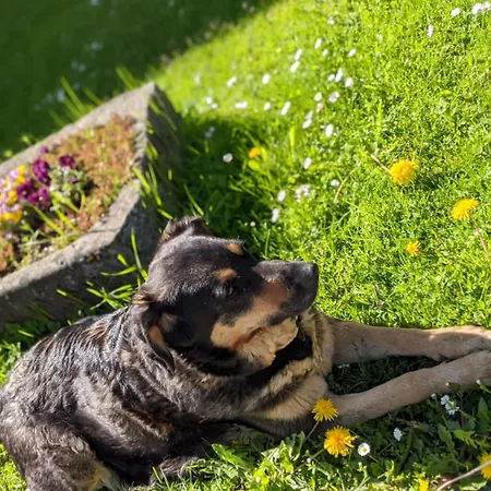 Biohof Bernhard אונטרוויסנבאך