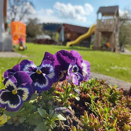 Biohof Bernhard בית חווה