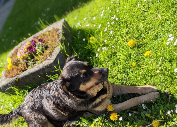 Biohof Bernhard Unterweissenbach