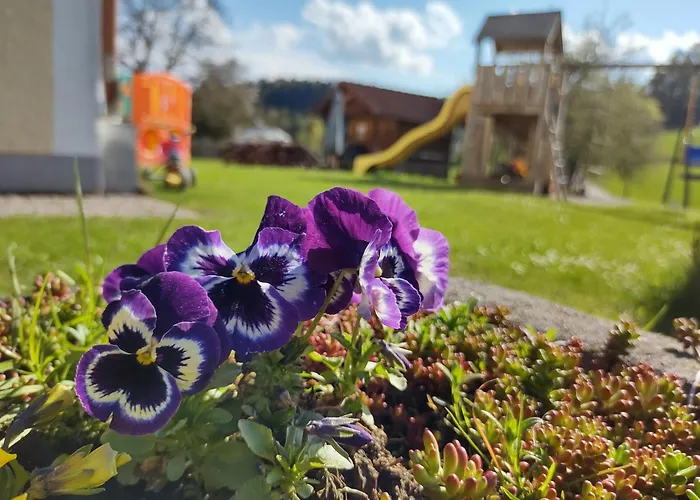 Biohof Bernhard Feriegård