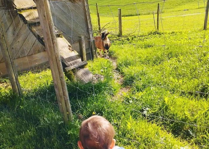 Feriegård Biohof Bernhard Unterweissenbach
